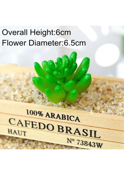 Lu x in Bei Hua 39 Stilleri Yeşil Yapay Succulents Bitkiler Ev Bahçe Düğün Doğum Günü Partisi Noel Cadılar Bayramı Dekorasyon Sahte Bitkiler Bonsai (Yurt Dışından)
