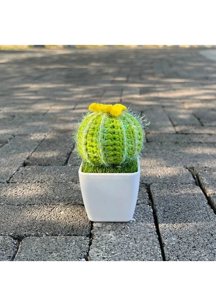Gül El-Örme Kaktüs Bitkiler Bonsai Yapay Çiçek Saksıları El Yapımı Tığ Işi Orijinal Hediye Sevimli Oda Ev Masası Fikirleri Dekorasyon (Yurt Dışından) fiyatları