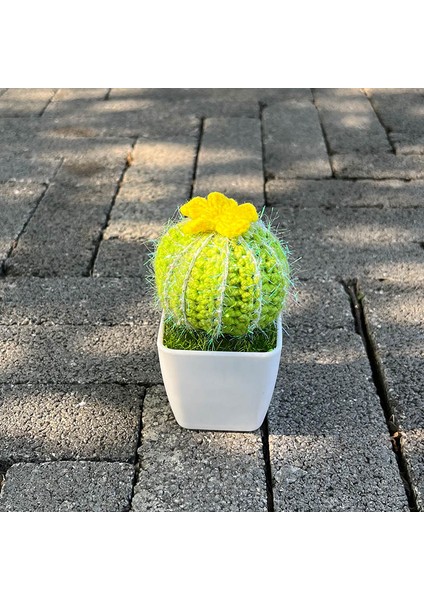Gül El-Örme Kaktüs Bitkiler Bonsai Yapay Çiçek Saksıları El Yapımı Tığ Işi Orijinal Hediye Sevimli Oda Ev Masası Fikirleri Dekorasyon (Yurt Dışından) modelleri