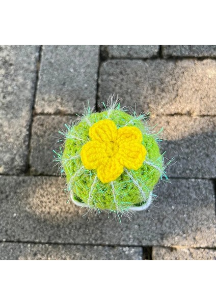 Gül El-Örme Kaktüs Bitkiler Bonsai Yapay Çiçek Saksıları El Yapımı Tığ Işi Orijinal Hediye Sevimli Oda Ev Masası Fikirleri Dekorasyon (Yurt Dışından) fırsatları