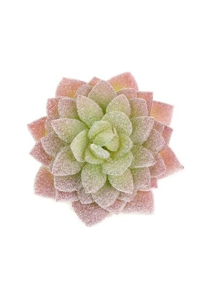 29 Yapay Succulents Bitki Simülasyonu Sahte Succulents Saksı Bitki Minyatür Sahte Bitkiler Sahte Succulents Ev Ofis Dekor (Yurt Dışından)