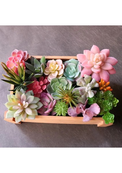Juhuang Baoshihua Yapay Yeşil Mor Kırmızı Mavi Etli Bitkiler Ev Bahçe Düğün Dekorasyon Mini Masaüstü Bonsai Dıy Plante Artificielle (Yurt Dışından) indirimleri