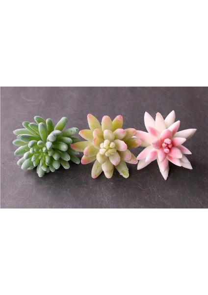 Fg Feizhouluhui Yapay Succulents Bitkiler Beyaz Pembe Yeşil Plastik Sahte Bitkiler Peyzaj Bonsai Plantas Artificiales Ev Bahçe Dekorasyonu (Yurt Dışından) indirimleri