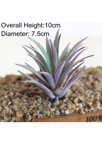 Fp Mini Lingjiaocao 39 Stilleri Mor Akın Yapay Succulents Bitkiler Ev Bahçe Dekorasyonu Dıy Bitkiler Duvar Çiçek Aranjmanı Sahte Bitkiler (Yurt Dışından)