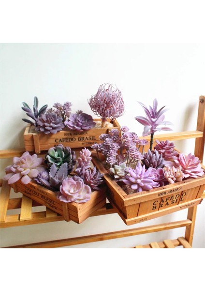 Fp Mini Lingjiaocao 39 Stilleri Mor Akın Yapay Succulents Bitkiler Ev Bahçe Dekorasyonu Dıy Bitkiler Duvar Çiçek Aranjmanı Sahte Bitkiler (Yurt Dışından)