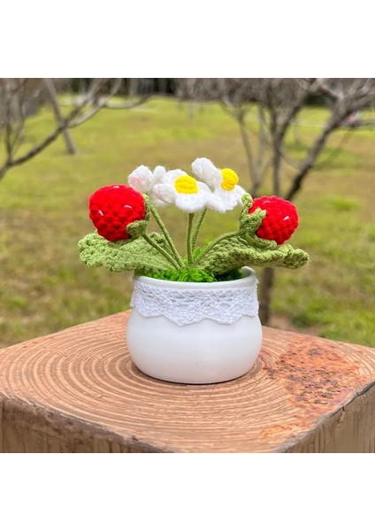 Strawberry-C 1 Adet (Saksı Ile) Tığ Çilek Bitkileri Bonsai Yapay Çiçekler Saksı El Örgü Süsler Oda Ev Masa Dekoru Için Sevgililer Günü Hediye Fikirleri (Yurt Dışından) fiyatları