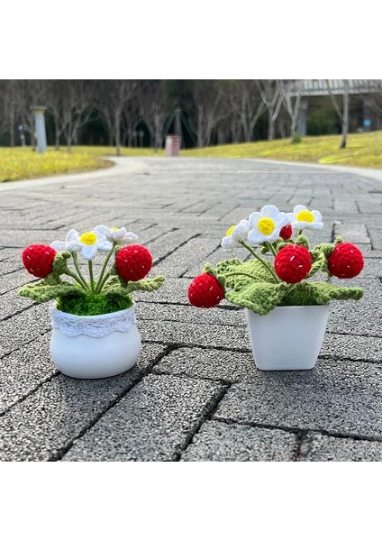 Strawberry-C 1 Adet (Saksı Ile) Tığ Çilek Bitkileri Bonsai Yapay Çiçekler Saksı El Örgü Süsler Oda Ev Masa Dekoru Için Sevgililer Günü Hediye Fikirleri (Yurt Dışından) indirimleri