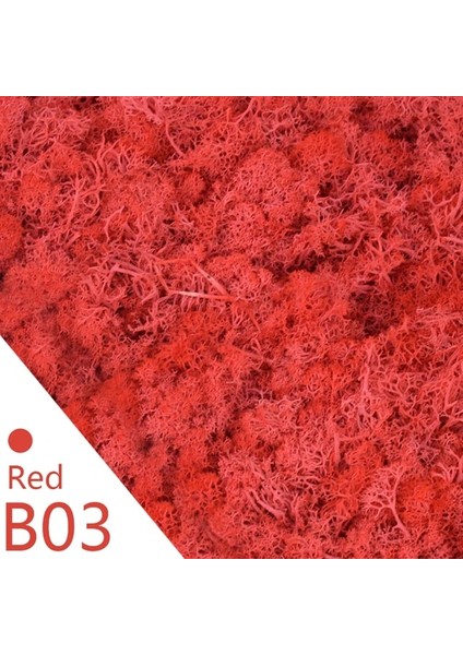 Y03 20 Gram 40/20G Yapay Ölümsüz Yosun Yeşil Sahte Bitki Ev Bahçe Oturma Odası Yeşillendirme Dekor Duvar Dolgu Çiçek Bitki Sahte Yosun (Yurt Dışından)