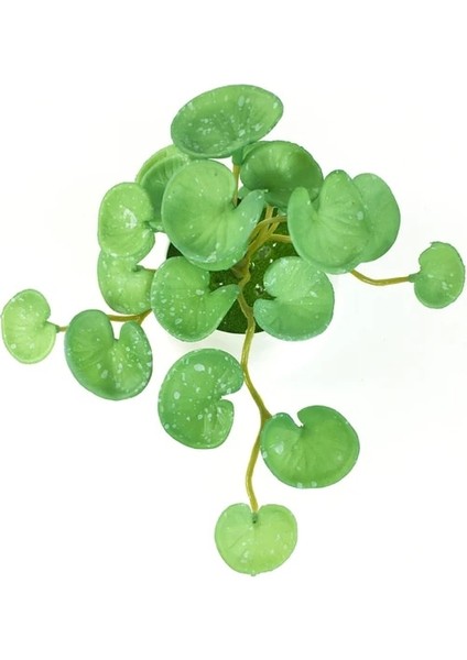 Baidian Tongqian 15 cm Yapay Bitkiler Yapraklar Sahte Çim Buketi Yeşil Bitkiler Yapraklar Tropikal Ağaç Yaprakları Ev Bonsai Için Şanslı Çim Yeşillik (Yurt Dışından)