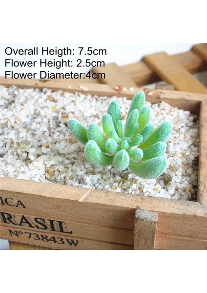 Zrg Fo Shou x in 39 Stilleri Yeşil Yapay Succulents Bitkiler Dıy Saksısız Küçük Bonsai Ev Bahçe Masaüstü Masa Parti Dekorasyon Sahte Bitkiler (Yurt Dışından)