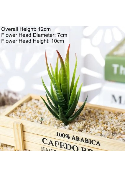 Yeşil Ban Ma Lu Hui Yeşil Pembe Sarı Zebra Aloe Yapay Sulu Meyveler Bitkiler Ev Bahçe Dekorasyonu Dıy Bitkiler Duvar Plastik Sahte Bitkiler Yükseklik = 12 cm (Yurt Dışından)