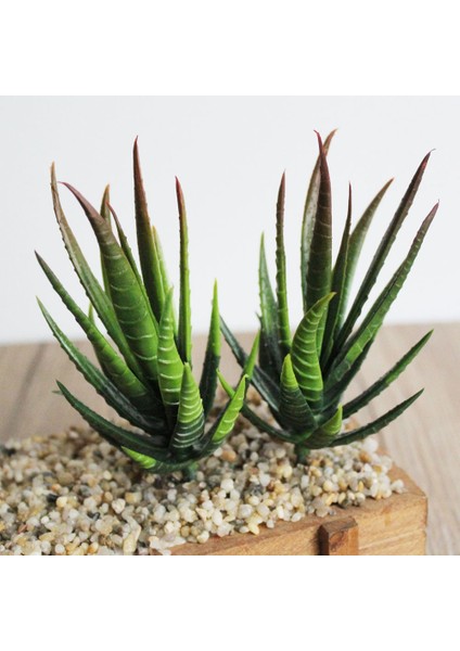 Yeşil Ban Ma Lu Hui Yeşil Pembe Sarı Zebra Aloe Yapay Sulu Meyveler Bitkiler Ev Bahçe Dekorasyonu Dıy Bitkiler Duvar Plastik Sahte Bitkiler Yükseklik = 12 cm (Yurt Dışından)