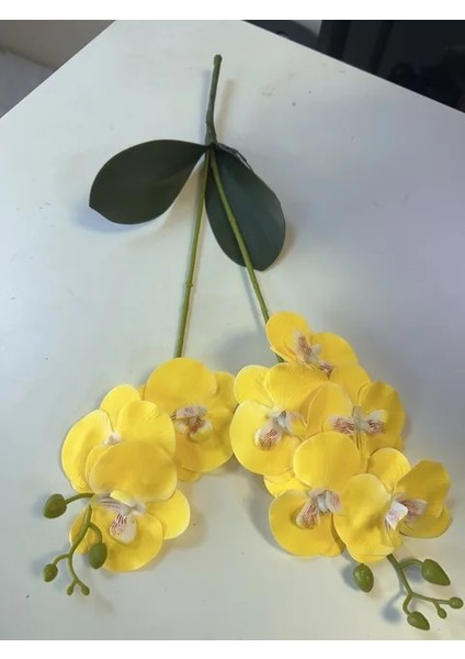 Açık Sarı 2 Şube Orkide Yaprak Yapay Çiçek Phalaenopsis Sahte Saksı Bitki Düğün Çiçek Aranjmanı Sahne Ev Iç Dekor (Yurt Dışından)