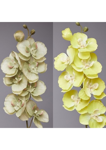 18 8 Kafaları Yapay Kelebek Orkide Sahte 3D Phalaenopsis Simülasyon Çiçek Gerçek Dokunmatik Bitkiler Düğün Ev Noel Dekorasyon (Yurt Dışından)