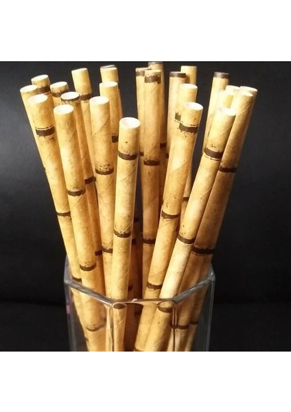 Stil 1 25 Adet Panda Bambu Kağıt Payet Doğum Günü Partisi Düğün Dekorasyon Saman Tek Kullanımlık Kağıt Içme Samanı Bebek Duş (Yurt Dışından) fırsatları