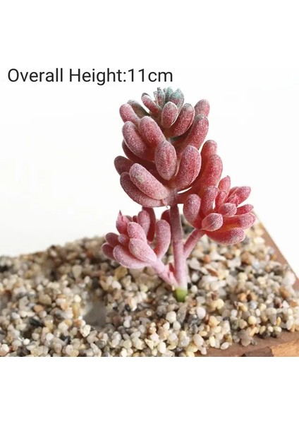 Shi Chuan Hua Yapay Kırmızı Akın Etli Bitkiler Dıy Ev Bahçe Ofis Düğün Dekorasyon Mini Bonsai Plante Artificielle (Yurt Dışından)