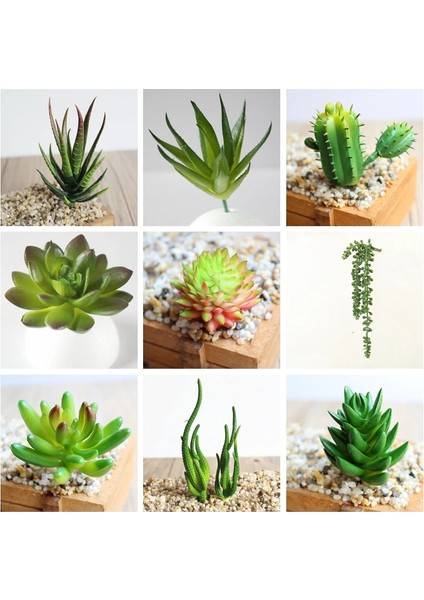 x in Zebra Aloey 39 Stilleri Yeşil Yapay Succulents Bitkiler Ev Bahçe Düğün Doğum Günü Partisi Noel Cadılar Bayramı Dekorasyon Sahte Bitkiler Bonsai (Yurt Dışından) fiyatları