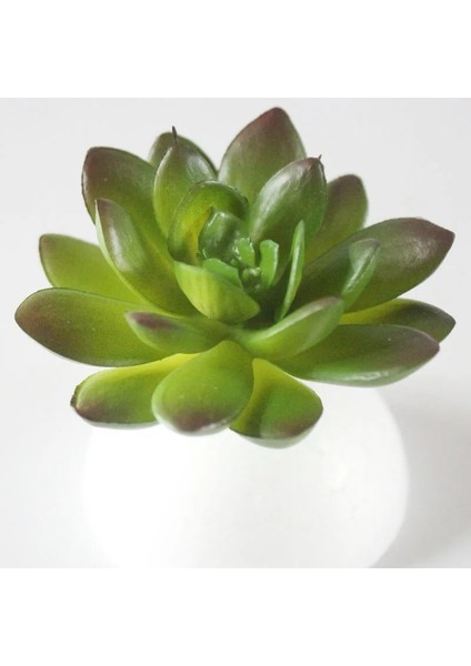 x in Zebra Aloey 39 Stilleri Yeşil Yapay Succulents Bitkiler Ev Bahçe Düğün Doğum Günü Partisi Noel Cadılar Bayramı Dekorasyon Sahte Bitkiler Bonsai (Yurt Dışından) fırsatları