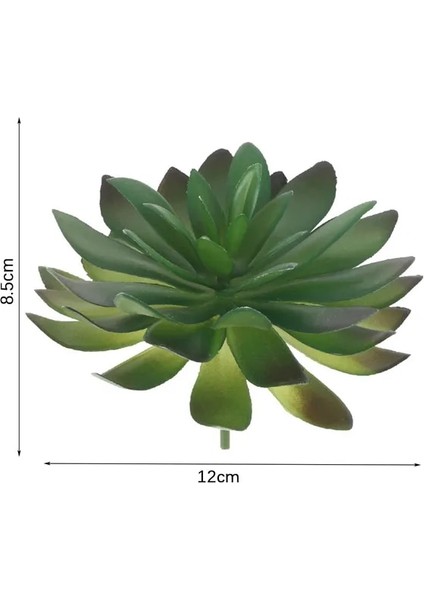 Kira Etli Resim Gösterisi Olarak Yeşil Akın Yapay Succulents Ev Yatak Odası Oturma Odası Banyo Noel Partisi Dekorasyon Sahte Bitki Bonsai (Yurt Dışından)