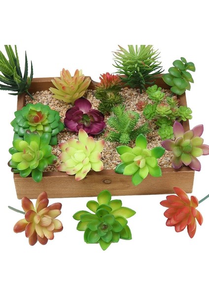 11 Tou x iaoxianrenke 2021 Yapay Succulents Bitkiler Ev Dekor Mini Bonsai Bahçe Yatak Odası Düğün Dekorasyon Plantas Artificiales Para Decoracion (Yurt Dışından)