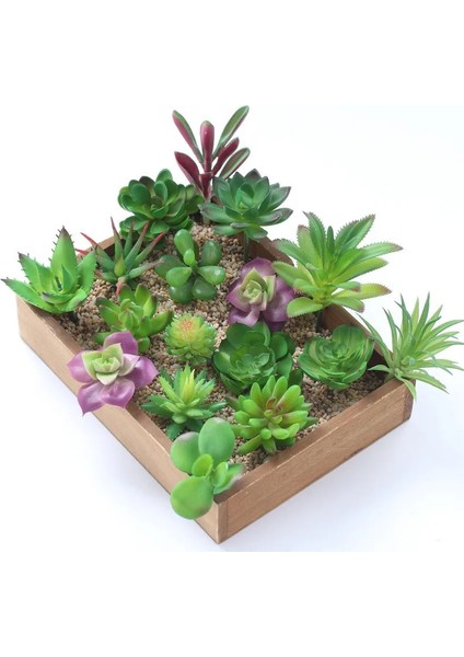11 Tou x iaoxianrenke 2021 Yapay Succulents Bitkiler Ev Dekor Mini Bonsai Bahçe Yatak Odası Düğün Dekorasyon Plantas Artificiales Para Decoracion (Yurt Dışından)