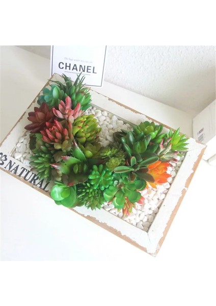 11 Tou x iaoxianrenke 2021 Yapay Succulents Bitkiler Ev Dekor Mini Bonsai Bahçe Yatak Odası Düğün Dekorasyon Plantas Artificiales Para Decoracion (Yurt Dışından)