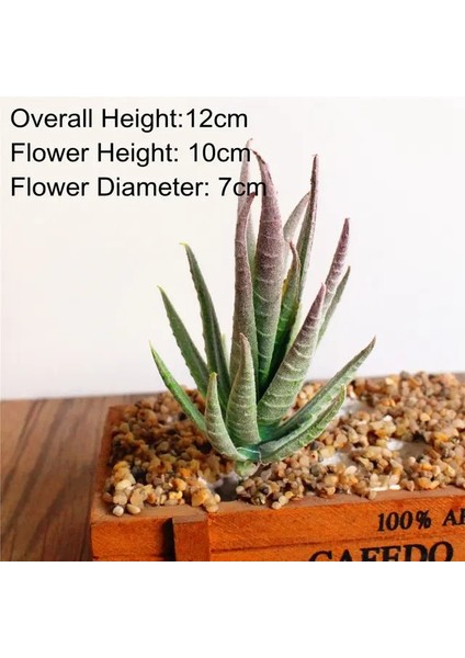 Redtrim Banmaluhui 7 x 10 cm Yapay Succulents Bitkiler Aloe Zebrina Bitkiler Yapay Bitki Peyzaj Sahte Çiçek Aranjmanı Bahçe Dekorasyon (Yurt Dışından)
