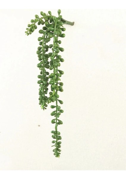 x iao Zui Lu Hui 39 Stilleri Yeşil Yapay Sulu Meyveler Bitkiler Ev Bahçe Düğün Doğum Günü Partisi Noel Cadılar Bayramı Dekorasyon Sahte Bitkiler Bonsai (Yurt Dışından)