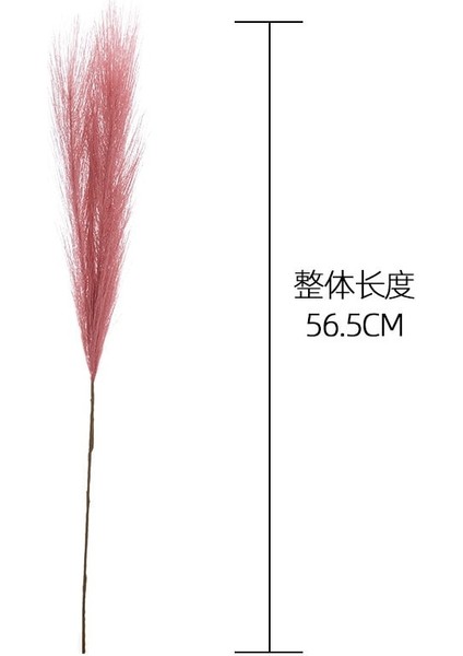 Pembe 1pc 1/5/10/20PCS 55 cm Mini Sahte Pampas Çim Yapay Görkemli Çim Vazo Dolgu Çiçek Ev Oturma Odası Mutfak Düğün Boho Dekor (Yurt Dışından)
