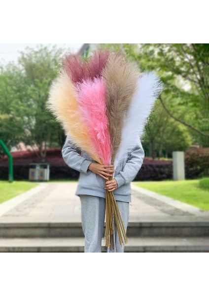120 cm -L01-1PC 100-120 cm Büyük Ipek Pampas Çim Çiçekleri Pantas Artificiales Para Decoracion Simülasyon Bitkiler Ev Dekor Için Düğün Dekorasyon (Yurt Dışından)