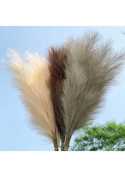 120 cm -L01-1PC 100-120 cm Büyük Ipek Pampas Çim Çiçekleri Pantas Artificiales Para Decoracion Simülasyon Bitkiler Ev Dekor Için Düğün Dekorasyon (Yurt Dışından)