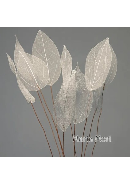 Kırık Beyaz 10 Adet (35-40 cm ) Ev Dekorasyon Lucency Yapraklar Doğal Yaprak Damar Ölümsüz Yapay Çiçekler Düğün Masa Dekorasyon Tel Kök (Yurt Dışından)