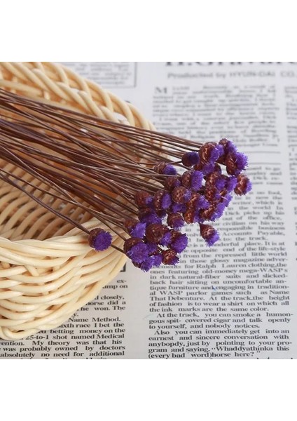 Purple2 Mini Dekoratif Kurutulmuş Çiçekler Babysbreath Çiçek Buketi Doğal Bitkiler Düğün Ev Dekorasyon Için Çiçek Korur (Yurt Dışından)