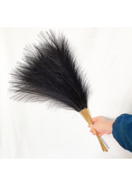 Siyah 55 cm 10PCS 5/10/20PCS 55 cm Yapay Pampas Çim Sahte Görkemli Çim Vazo Dolgu Çiçek Ev, Oturma Odası, Mutfak, Parti, Boho Dekor (Yurt Dışından)