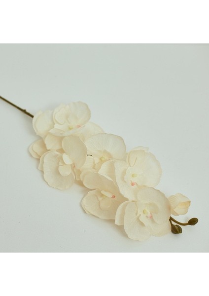 Stil 1 8 Kafaları Yapay Kelebek Orkide Sahte 3D Phalaenopsis Simülasyon Çiçek Gerçek Dokunmatik Bitkiler Düğün Ev Noel Dekorasyon (Yurt Dışından)