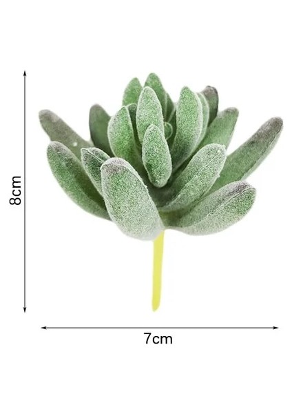 Resim Gösterisi Olarak Kabuklu Deniz Ürünleri Yeşil Akın Yapay Succulents Ev Yatak Odası Oturma Odası Banyo Noel Partisi Dekorasyon Sahte Bitki Bonsai (Yurt Dışından)
