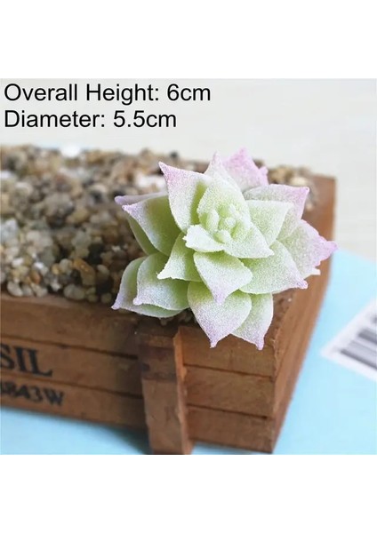Fo x in Lian 1 Adet Beyaz Akın Yapay Succulents Bitkiler Çiçek Aranjmanı Aksesuarları Masaüstü Bonsai Ev Bahçe Dekorasyonu Sahte Bitkiler (Yurt Dışından)
