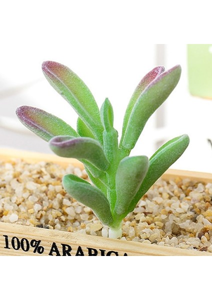 Stil 20 Yeşil Akın Yapay Succulents Bitkiler Ev Bahçe Dekorasyonu Çiçek Aranjmanı Banyo Aksesuarları Planta Yapay (Yurt Dışından)