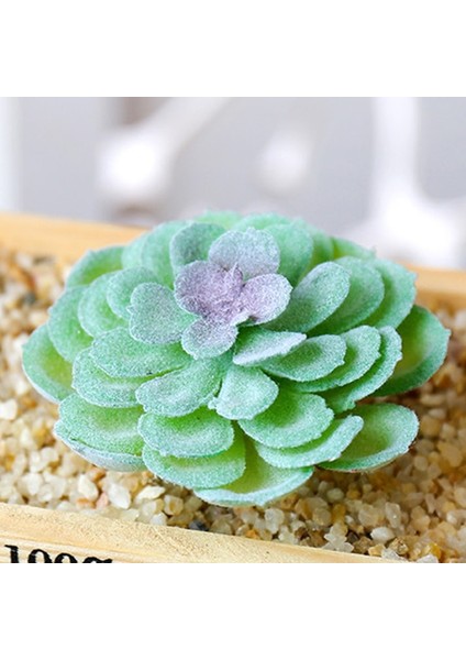 Stil 20 Yeşil Akın Yapay Succulents Bitkiler Ev Bahçe Dekorasyonu Çiçek Aranjmanı Banyo Aksesuarları Planta Yapay (Yurt Dışından) indirimleri