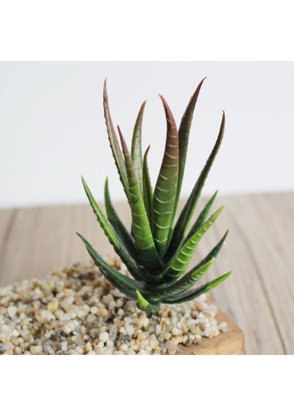 Fr x iaolingjiaocao 7 x 10 cm Yapay Succulents Bitkiler Aloe Zebrina Bitkiler Yapay Bitki Peyzaj Sahte Çiçek Aranjmanı Bahçe Dekorasyon (Yurt Dışından)