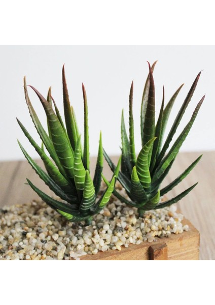Banmaluhui Kırmızı Trim Yapay Etli Bitkiler Aloe Zebrina Yapay Bitkiler Peyzaj Sahte Çiçek Aranjmanı Bahçe Dekorasyon Aksesuarları (Yurt Dışından)