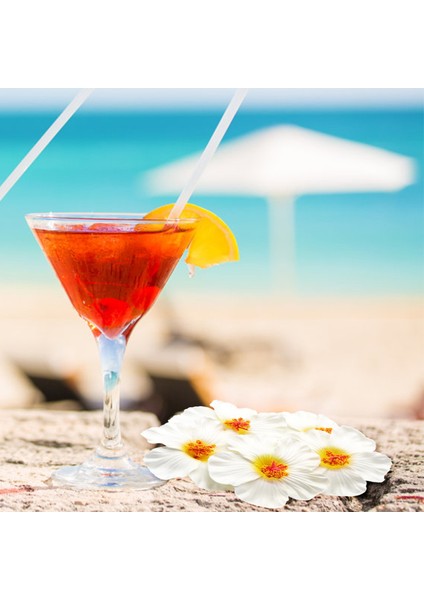 Kraliyet Mavi 10 Adet Hibiscus Çiçekler Hawaii Parti Yaz Partisi Dıy Süslemeleri Yapay Çiçekler Hula Kızlar Lehine Saç Dekorasyon Çiçek (Yurt Dışından) fırsatları