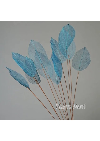 Mavi 10 Adet (45-50 cm ) Ev Dekorasyon Lucency Yapraklar Doğal Yaprak Damar Ölümsüz Yapay Çiçekler Düğün Masa Dekorasyon Tel Kök (Yurt Dışından)
