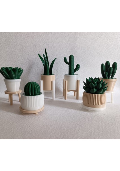 6'lı Yapay Kaktüs Set (18 Parça) - Yapay Çiçek - Yapay Bitki