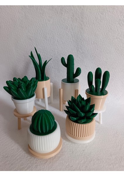 6'lı Yapay Kaktüs Set (18 Parça) - Yapay Çiçek - Yapay Bitki