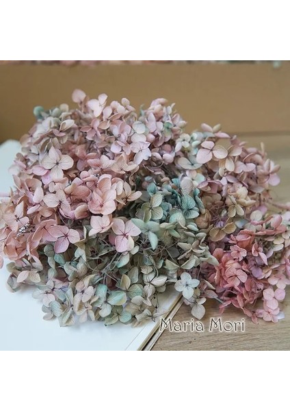 Degrade Renk 65 5g Degrade Renk Korunmuş Ortanca Ev Dekorasyon Düğün Dekorasyon Küçük Yaprak Anna Ortanca Epoksi El Yapımı Dıy Malzeme (Yurt Dışından)