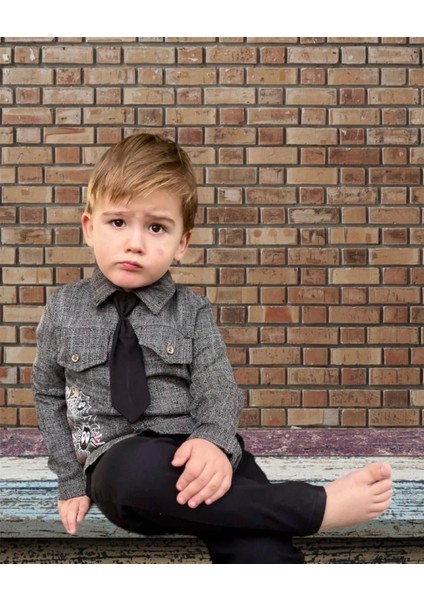 Miraylife 3-4-5 Yaş Kravatlı Keten Gömlek Gabardin Pantolon Uzun Kollu 3lü Erkek Çocuk Takımı fiyatları