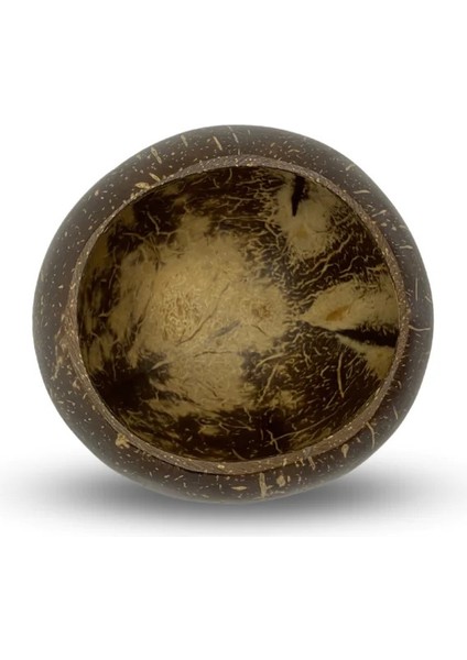 Hindistan Cevizi Bardak ve Bambu Pipet modelleri