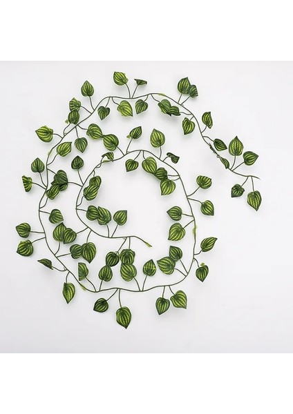 Karpuz 1 Adet 2.1 Metre Yapay Bitkiler Ev Dekor Duvar Liana Ivy Dekoratif Sarmaşık Yeşillik Sahte Sarmaşıklar Yeşillik Odası Dekorasyon Yeşil Yapraklar (Yurt Dışından)