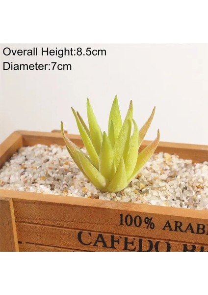Fei Zhou Lu Hui Fw 7 x 10 cm Yapay Succulents Bitkiler Aloe Zebrina Bitkiler Yapay Bitki Peyzaj Sahte Çiçek Aranjmanı Bahçe Dekorasyon (Yurt Dışından)